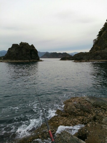 arvfmmx85f6ttvuz85ox_598_800-f121c01b.jpg