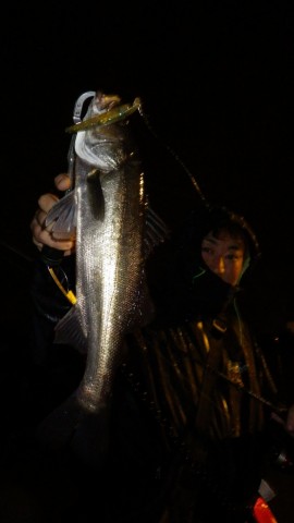 as5ozciwcsdahfdh8bhr_480_480-56fd770a.jpg