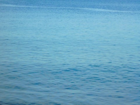 as6vuzf635d5xjfm7v2s_480_480-8a5cb68a.jpg