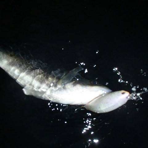as866p9n2gbzcrgixjvc_920_920-ca4b92ed.jpg