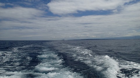 asbepnbzx58z8no6bo9n_480_480-109590b0.jpg