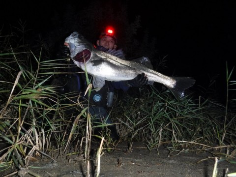 ashmvwt9upa8uebjbgej_480_480-991e5352.jpg
