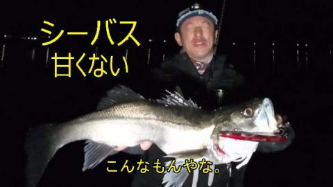 asmkinrz3vbojixd5vjo_480_480-866aa501.jpg