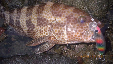 asponizepwo75j7msdge_480_480-da3e5e17.jpg
