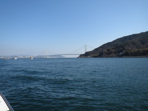 asr5fccohuk87ytwdw7m_480_480-acdccaa3.jpg