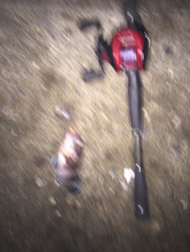 asrkcvwcsizgpkwdj4tn_361_480-3ee3e716.jpg