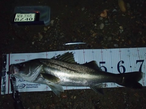 astazbkiuwdo2om975hn_480_480-944f29b6.jpg