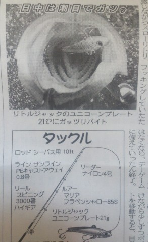 asuw3fkda7ddiwa5hs57_561_920-78377210.jpg