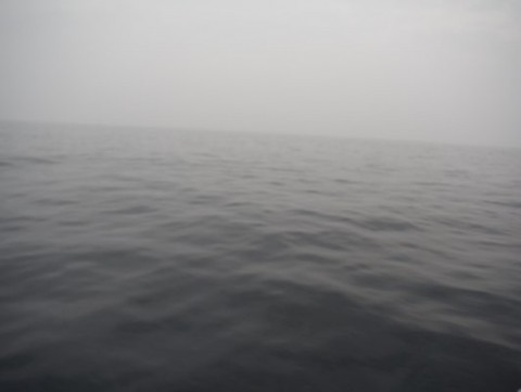 aswxfh8ez7pbvv7h26f3_480_361-2db9153f.jpg