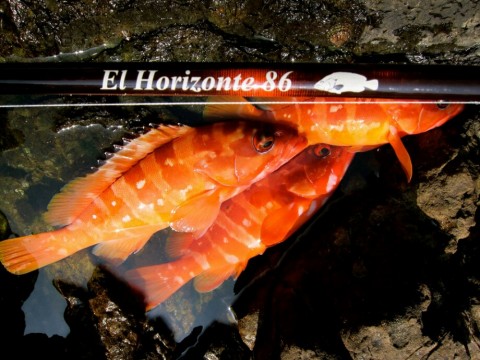 at2dtiksoxsz9f29b3oi_920_690-a0641cf0.jpg