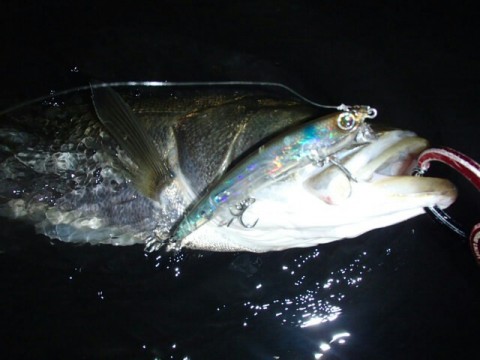at4hy3ofg6iin2ndhyu6_640_480-16261208.jpg