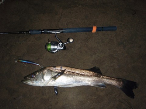 at59mrafu8asfvrz648j_480_480-51c50636.jpg