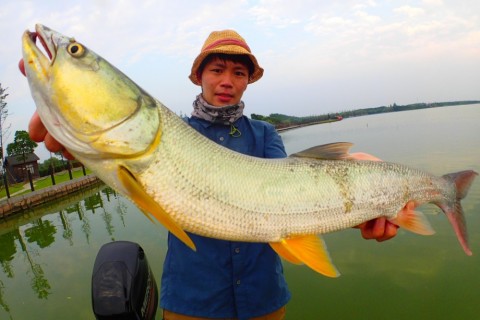 at65dhjwkpc2zas6ztyb_480_480-2deee302.jpg