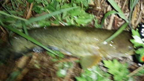 atacfeheg9b74r5hkttk_920_518-7b5f4450.jpg