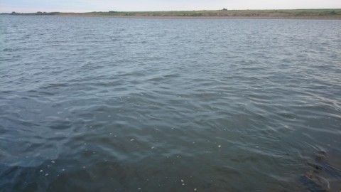 atc5xxp5e77yo6r6rkzo_480_480-1d3be7e9.jpg