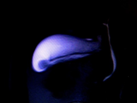 atd2uibzdrfp4mo6trjs_480_480-8e4df9bf.jpg