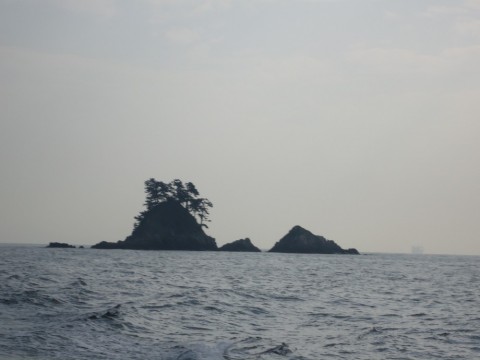 atjty47mi4xy8ctovfyx_480_480-37ea7d21.jpg