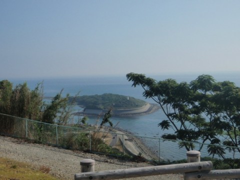 atni9fdy8b8kooiwkznk_480_480-cfe336f8.jpg