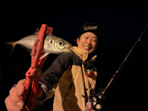 atnw2zbbptszv45uz4dp_480_480-cf1064fa.jpg