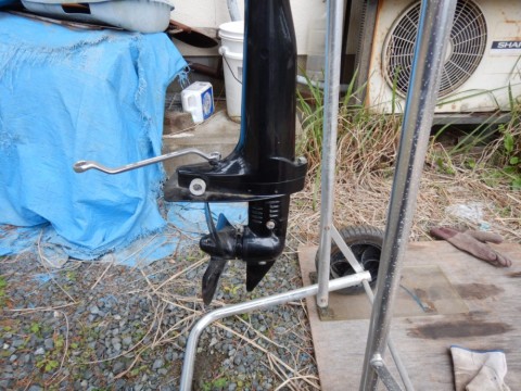 atx5ryuic7vtmdgfgeuv_480_480-dee66d98.jpg