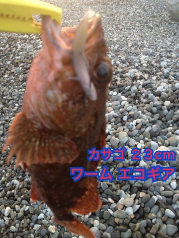 au8d7cpkywkhcstgtj5o_690_920-2c5c0323.jpg