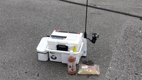 auf4yjekgrf5ig635w72_480_480-8f1abccb.jpg