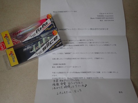 auhz4g7vz82nbeckf8e3_480_480-acc68e83.jpg