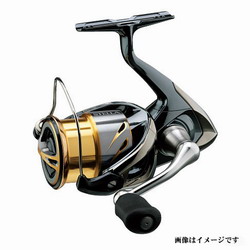 aui2zhgp62o2prh94a7e-34bbf1e3.jpg