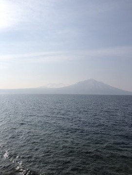 auij5j7jgh2nw9btwbyb_361_480-f8140b20.jpg