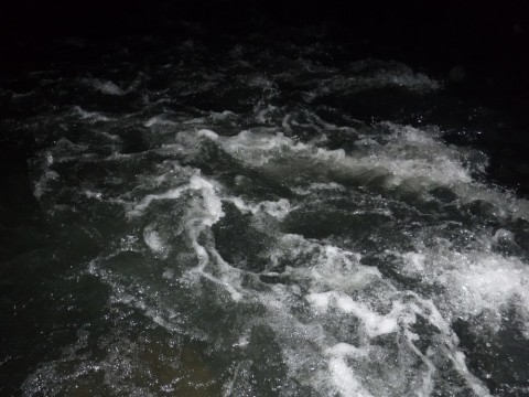 aujbfhoygmx4596jbj5x_480_480-666696ea.jpg