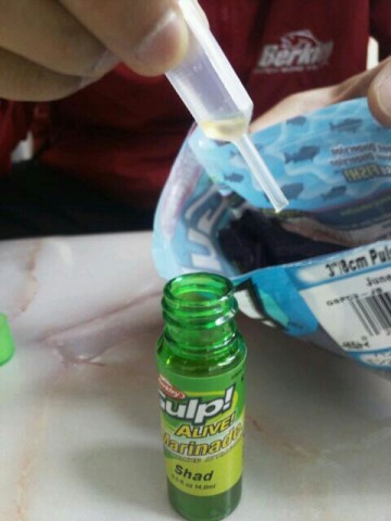 aupcasnkxrm5b44h36a8_480_640-9caaee0c.jpg