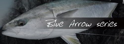 auydtw7vroibcfazhejx-d478dc8f.jpg