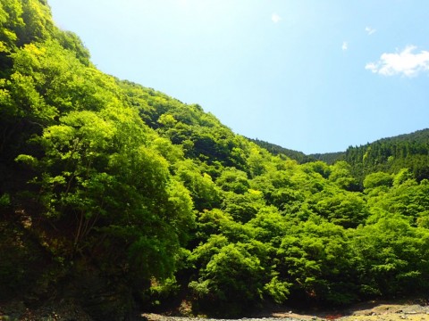 av2xcgn2vafyn9t7bh7k_480_480-dc07bce5.jpg