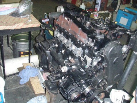avas2jicxhuttf556dp7_480_480-b7e47724.jpg