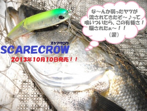 avc4azezx466fjxnnhu9_480_480-5d42ec18.jpg