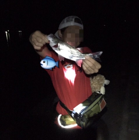 avfis72wh9wcd54cfad5_480_480-974bfa39.jpg
