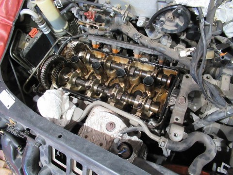 avim87rydystnmzhdak6_480_480-d96aa0c5.jpg