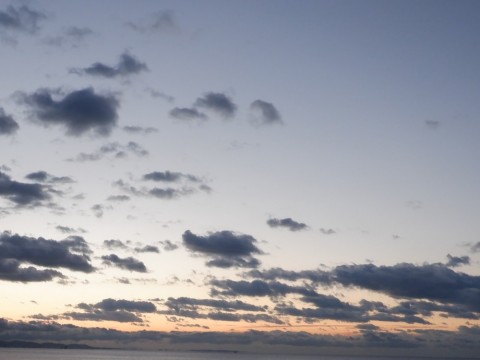 avmdjxrc648ftvtupoe7_480_480-165492d7.jpg