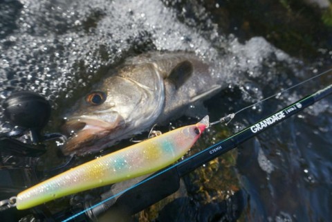 avpias42zy2f7bizz6za_480_480-0c62e2d7.jpg