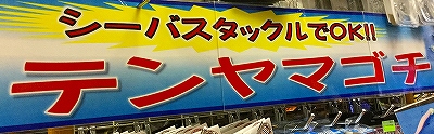 aw6cf4sgymygwyz2j6dv-ce70f055.jpg
