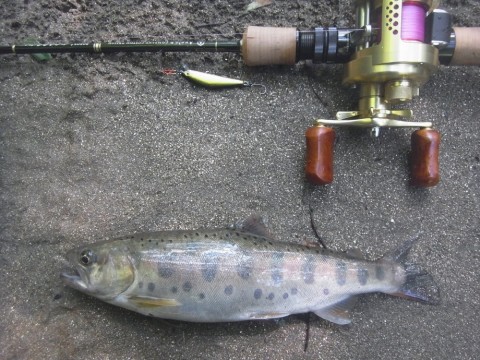 awf2dn55sz6ca652fdfk_480_480-26bc1b36.jpg
