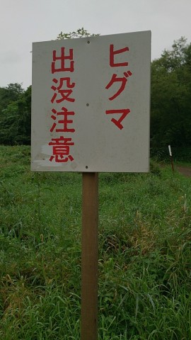 awfxu2kbt2ac8s3kjfbs_480_480-c95909a4.jpg