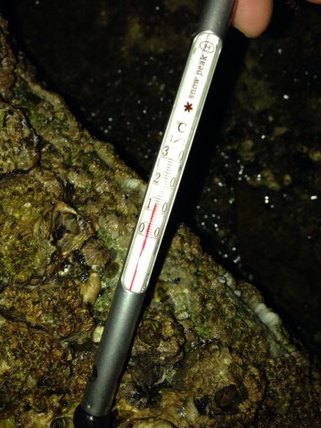 awpxmdtsgwopundvtrg4_690_920-bc33f767.jpg