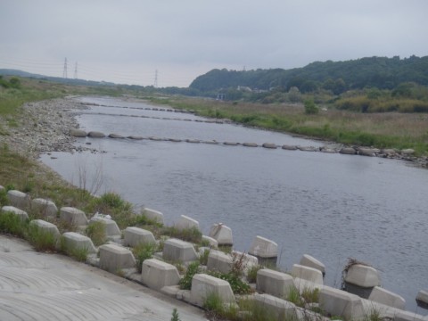 awxsi3pobrnrsc3xeuik_480_480-c3aa63d5.jpg