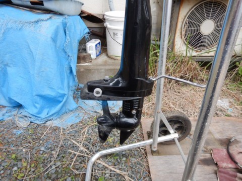 ax2cd7rj26ejy3gammfz_480_480-9f98bb28.jpg