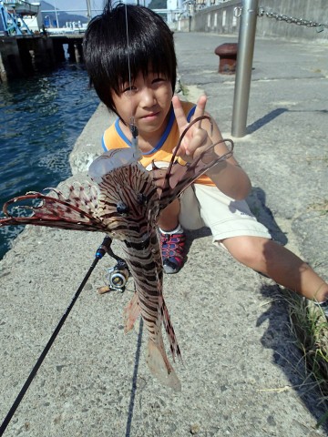 ax4tmwj8sza7dt2gd3nv_480_480-0b50aa0c.jpg