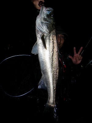 ax8ms7bik29c4cayvb8m-9e5d5187.jpg