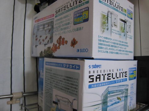 ax8mvy232if5v2xiaxxv_480_480-af715d4b.jpg