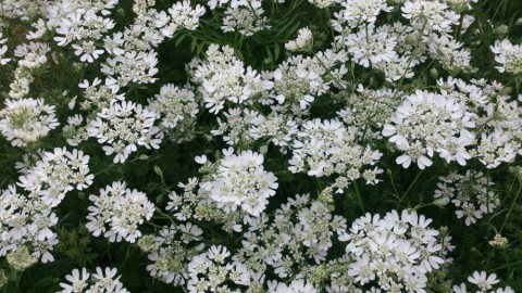 axbewggbyuyfuzpog33j_920_517-0f958380.jpg