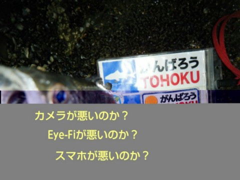 axiknt6xm8fbzd2uyw4m_920_690-d6872617.jpg